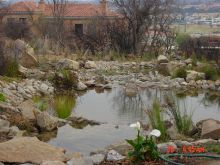 Domestic Water Feature